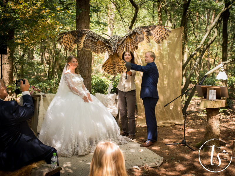 Uil vliegt trouwringen aan, Bruiloft Kim en Ronald, foto Two Sparkle Photography