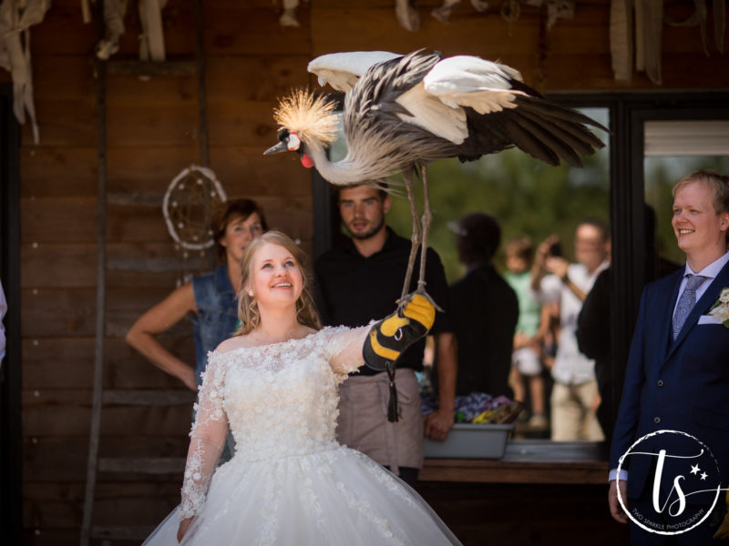 Bruid heeft vogel vast, Bruiloft Kim en Ronald, foto Two Sparkle Photography